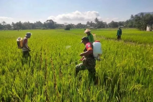 Sosialisasi Poktan Kecamatan Singkawang Timur